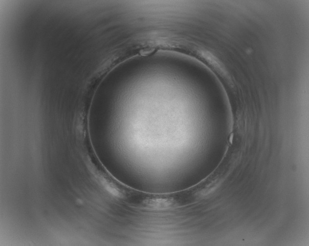 X0000071340449200606231142