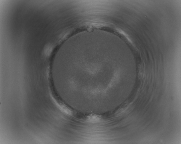 X0000071340451200606231142