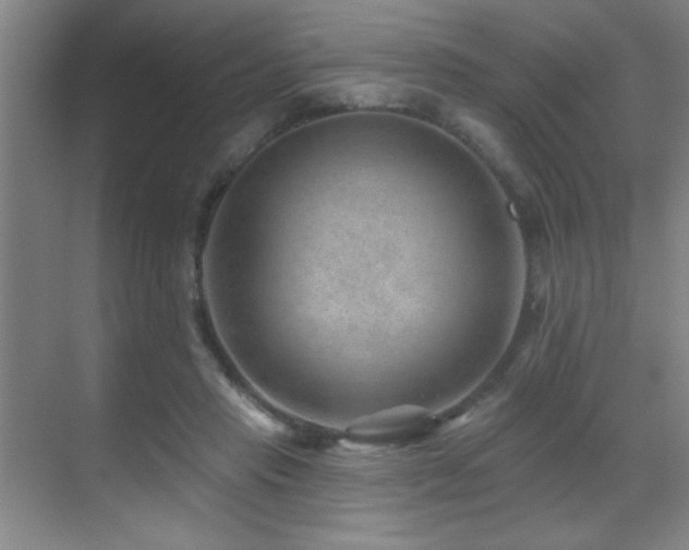 X0000071340453200606231142