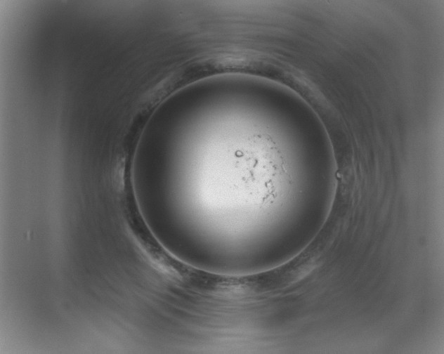 X0000071340454200606231142