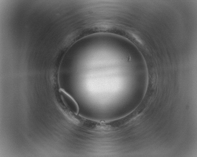 X0000071340455200606231142