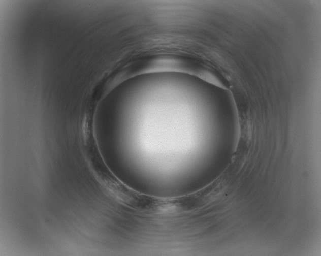 X0000071340456200606231142