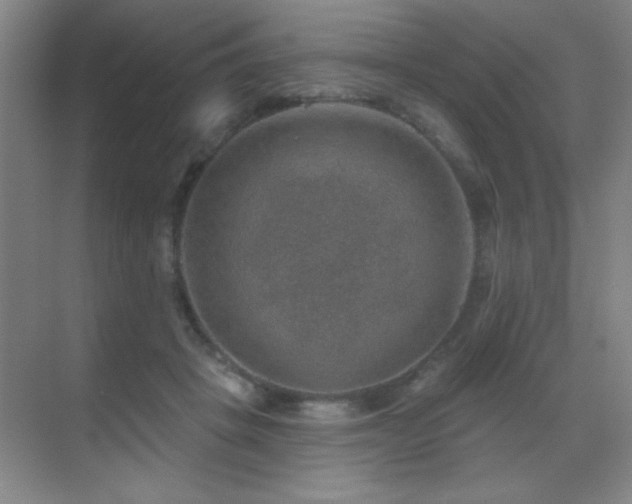 X0000071340457200606231142