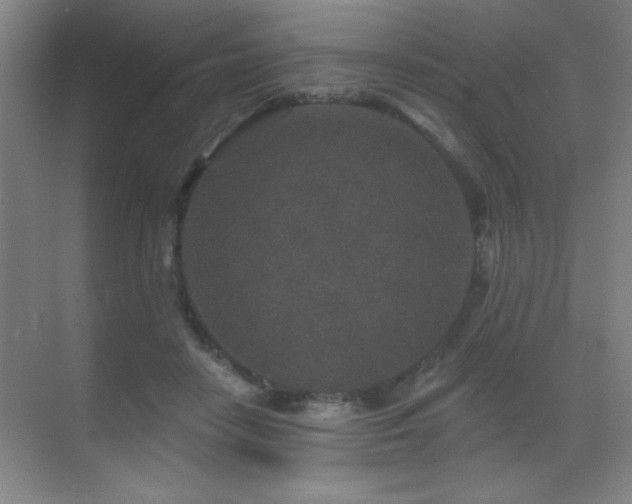 X0000071340458200606231142