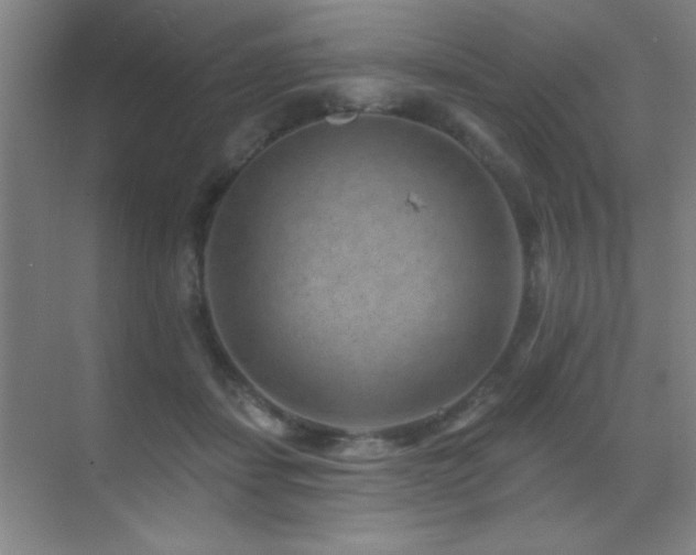 X0000071340459200606231142