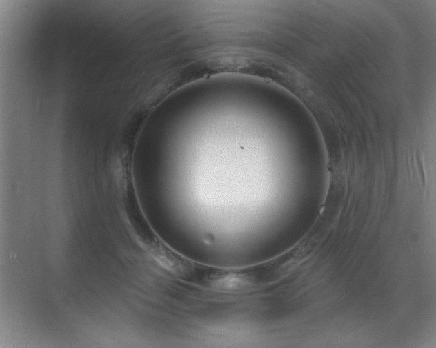 X0000071340460200606231142