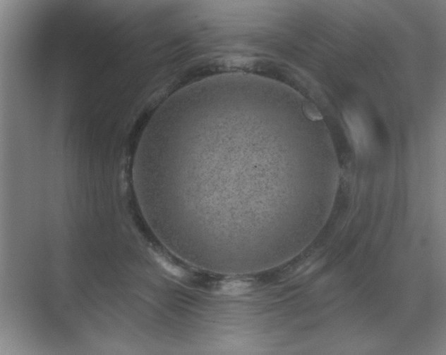 X0000071340462200606231142