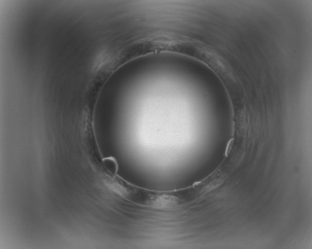 X0000071340463200606231143