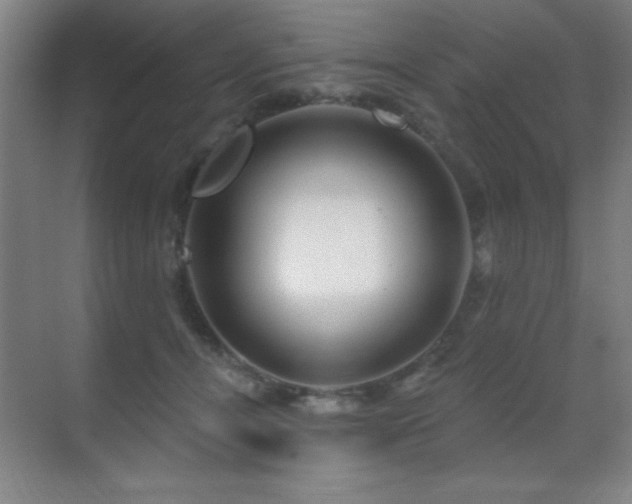 X0000071340464200606231143