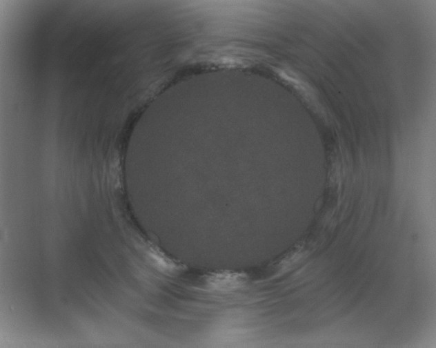 X0000071340465200606231143