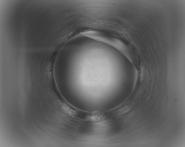 X0000071340466200606231143