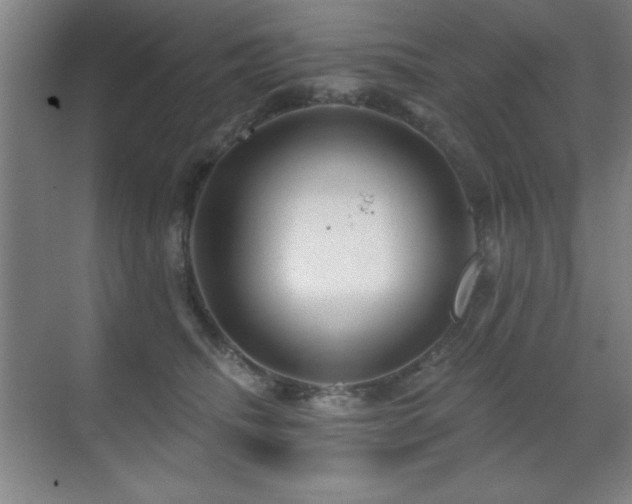 X0000071340468200606231143