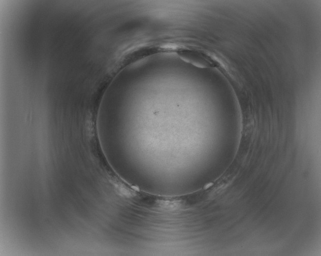 X0000071340469200606231143