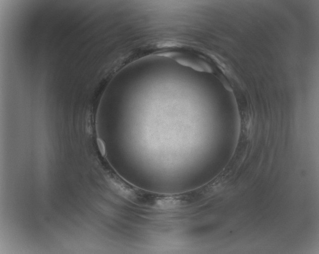 X0000071340470200606231143