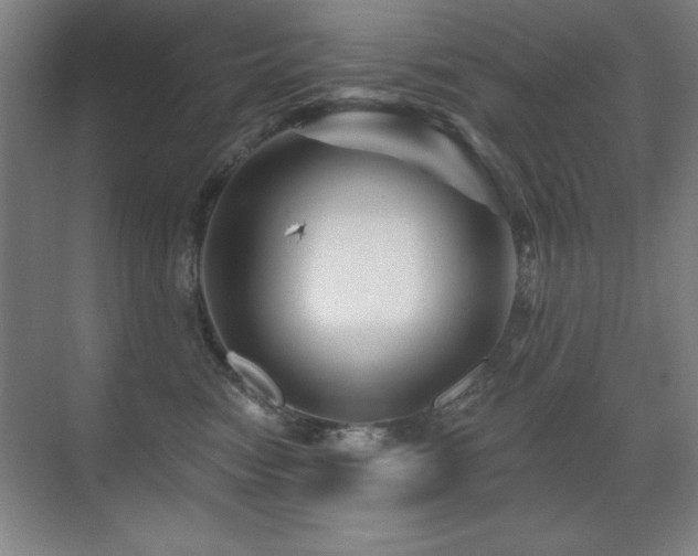 X0000071340474200606231143