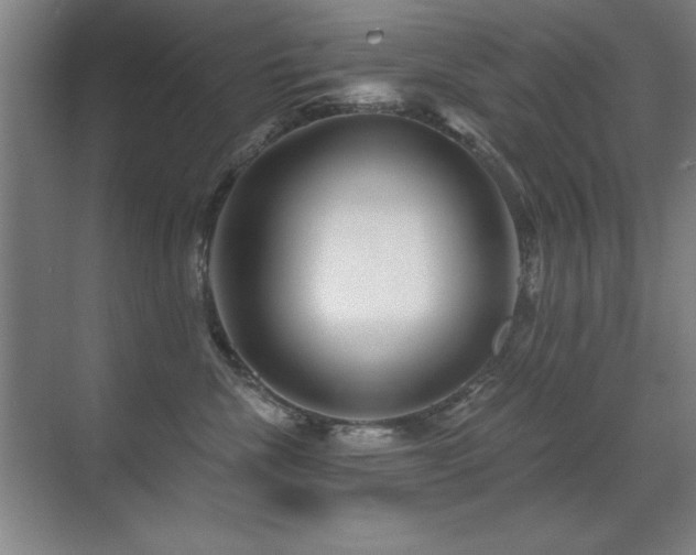 X0000071340476200606231143