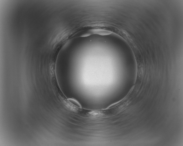 X0000071340477200606231143