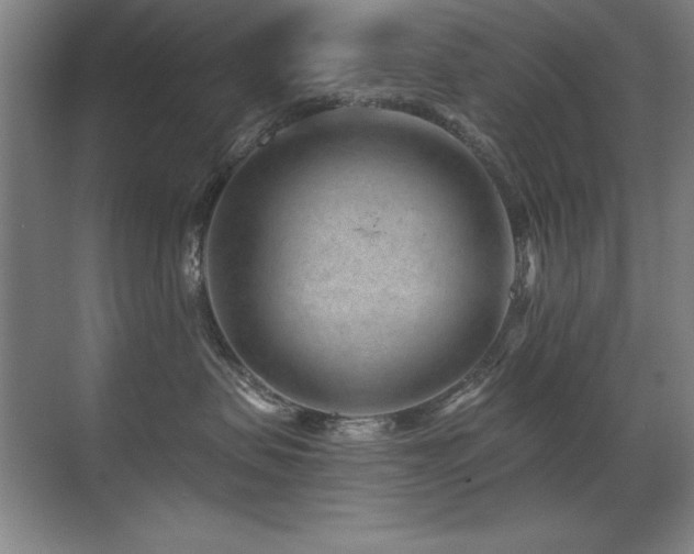 X0000071340479200606231143