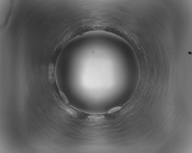 X0000071340480200606231143