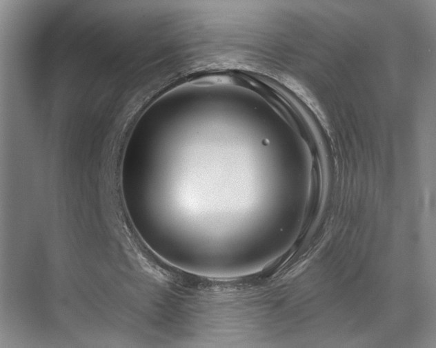 X0000071340481200606231142