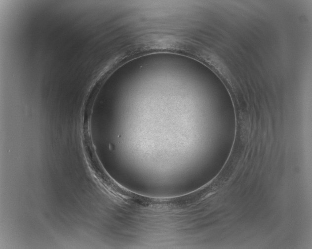 X0000071340482200606231142