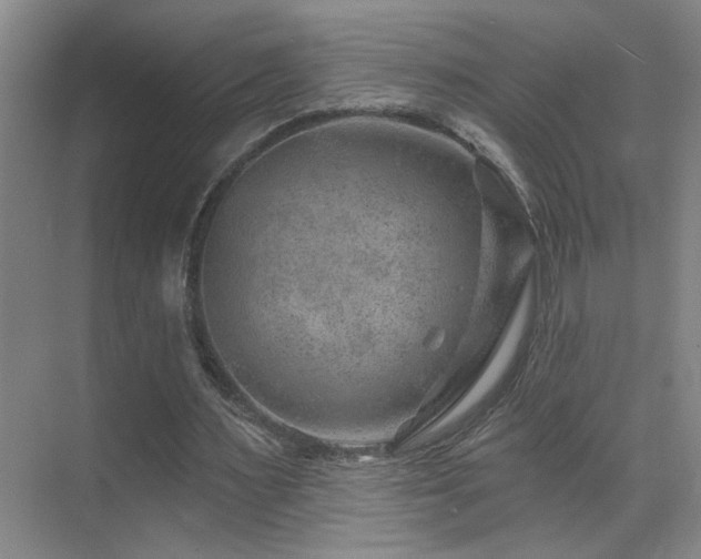 X0000071340483200606231142