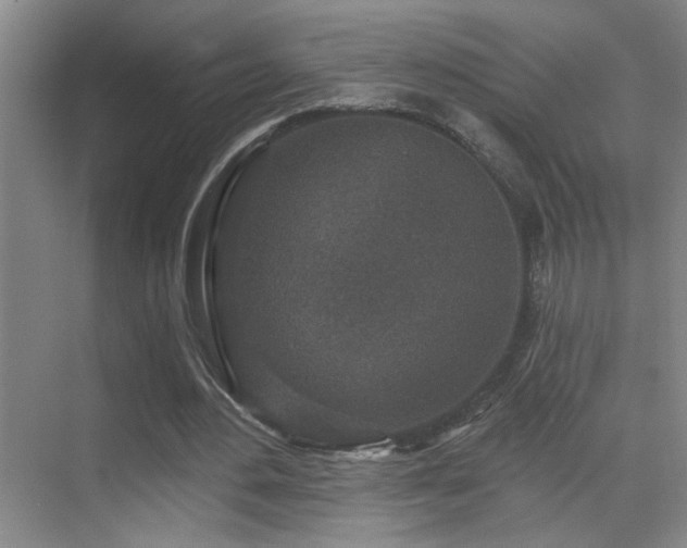 X0000071340484200606231142