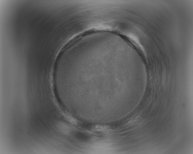 X0000071340487200606231142