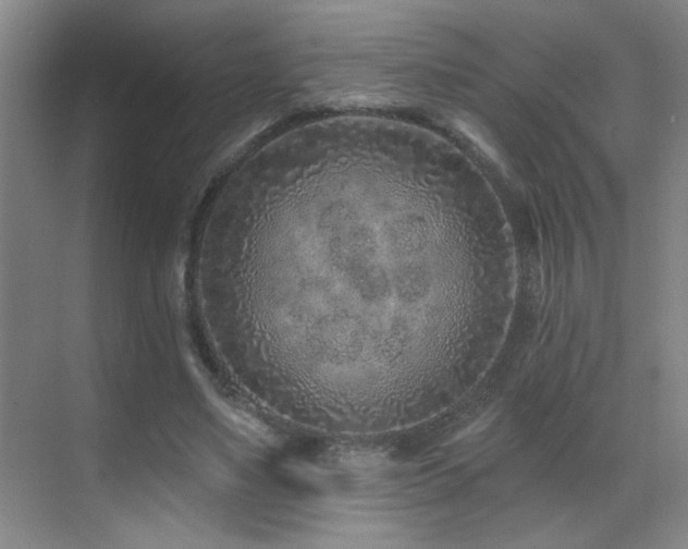 X0000071340491200606231142