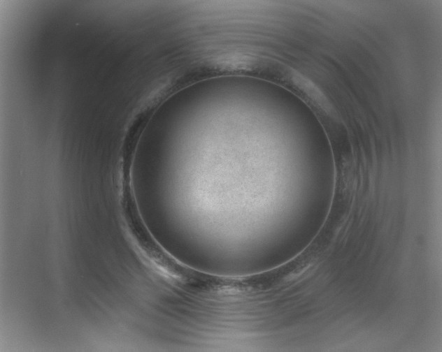 X0000071340494200606231142