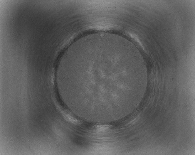 X0000071340495200606231142