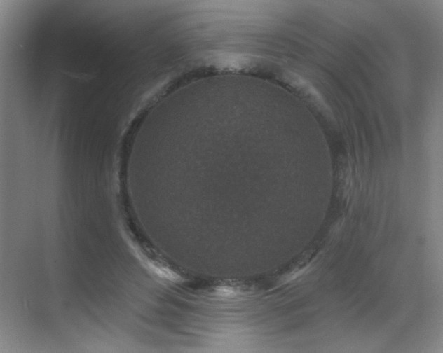 X0000071340496200606231142