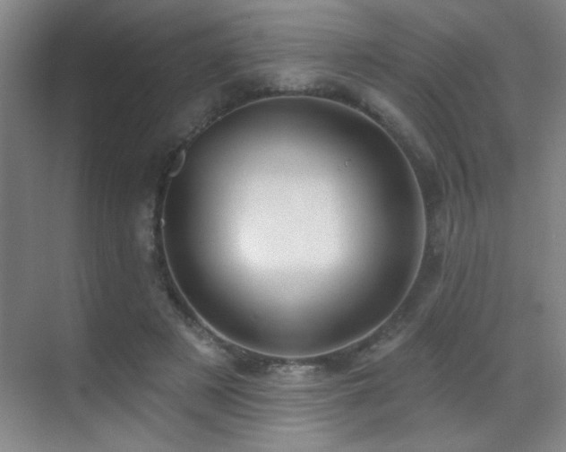 X0000071340497200606231142