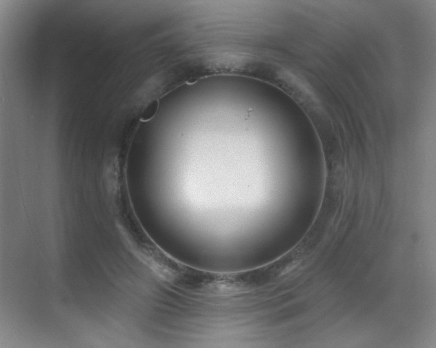 X0000071340498200606231142