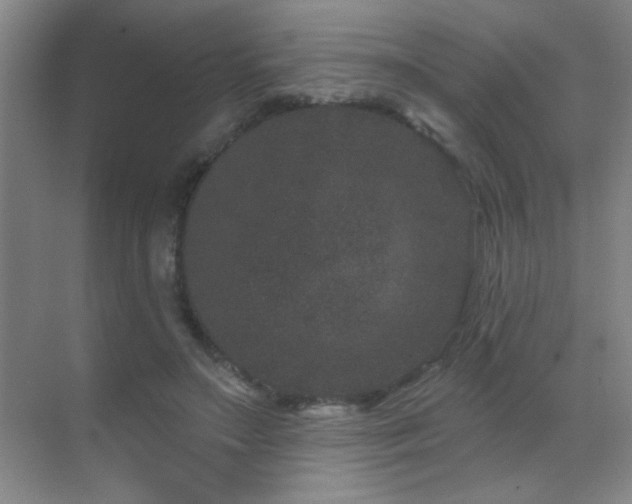 X0000071340499200606231142