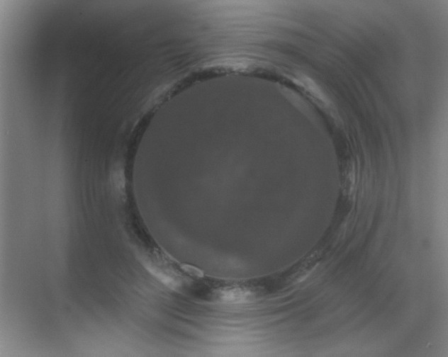 X0000071340500200606231142