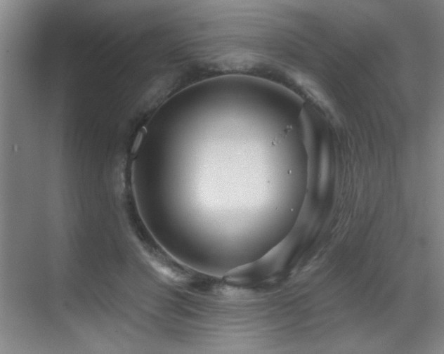 X0000071340501200606231142