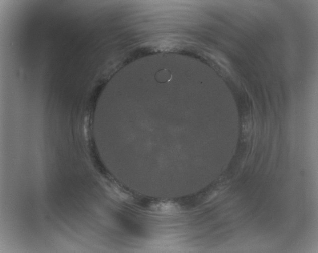 X0000071340503200606231142