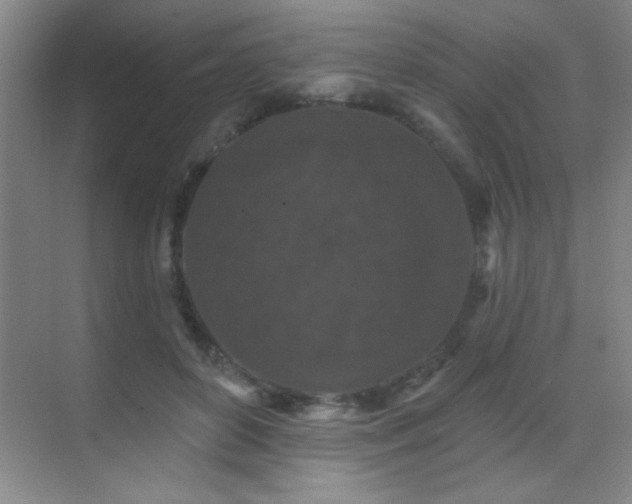 X0000071340504200606231142