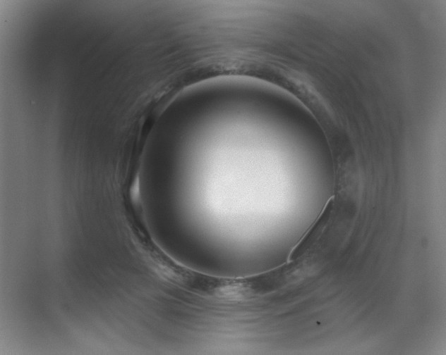 X0000071340505200606231142