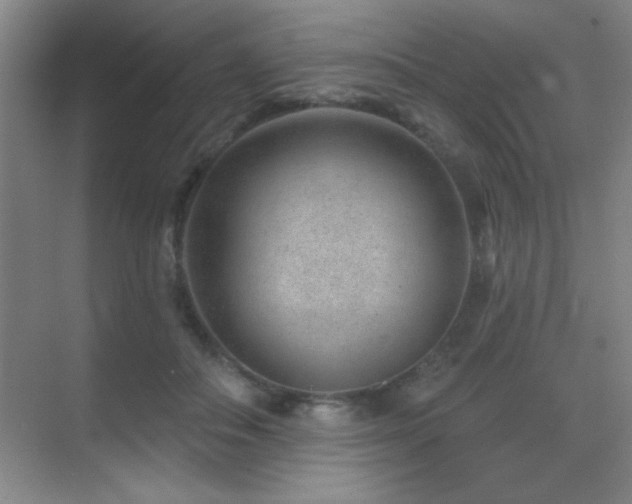 X0000071340506200606231142