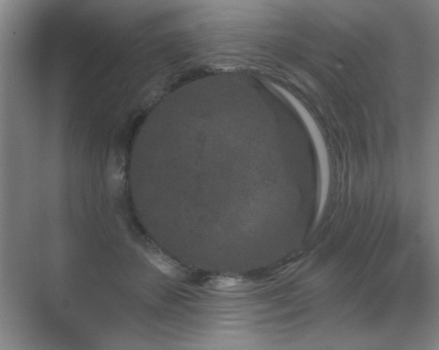 X0000071340507200606231142