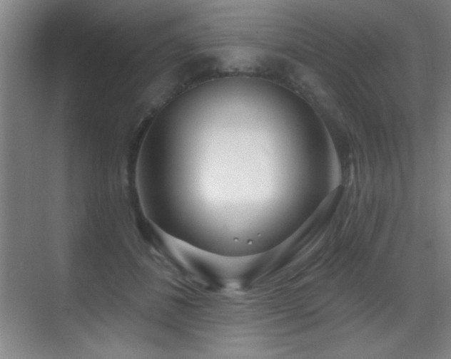 X0000071340508200606231142