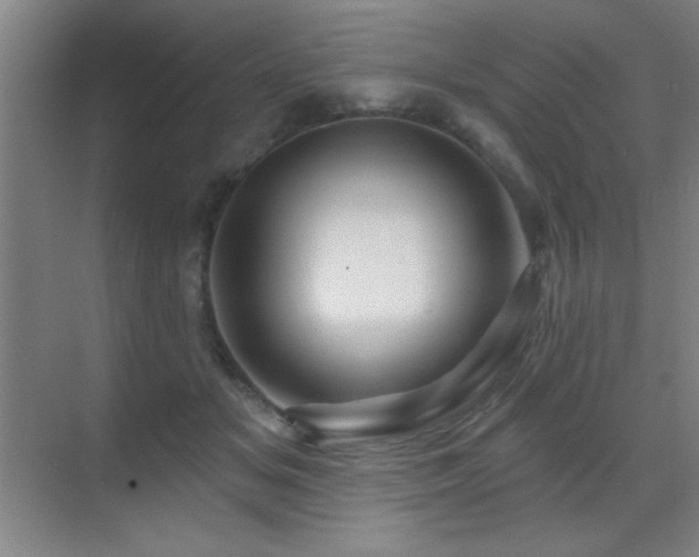 X0000071340509200606231142