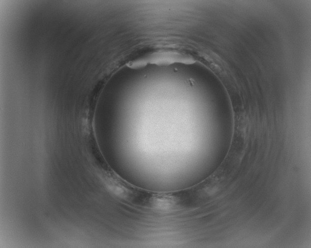 X0000071340510200606231142