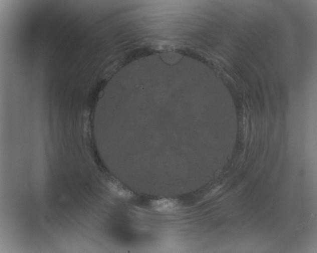 X0000071340511200606231141