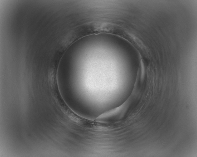 X0000071340513200606231141