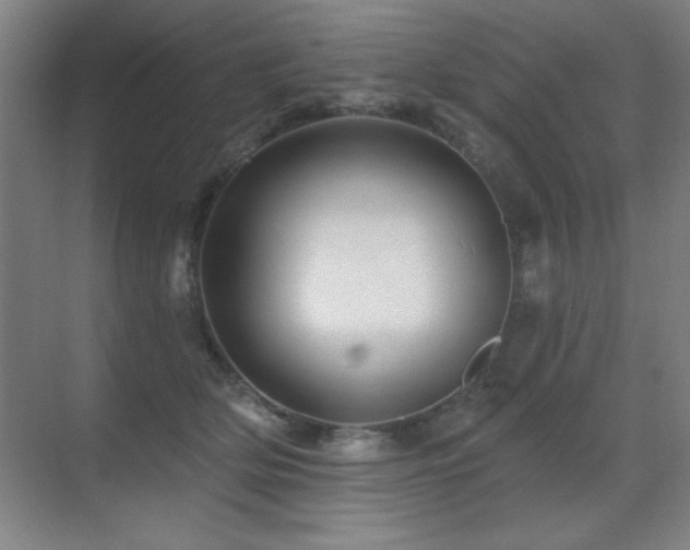 X0000071340514200606231141