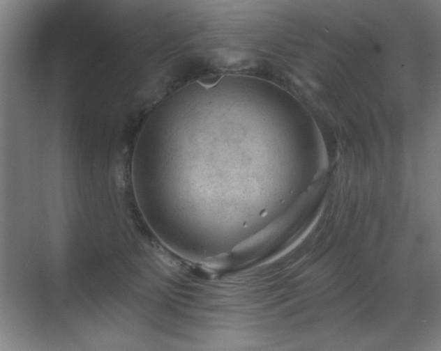 X0000071340515200606231141