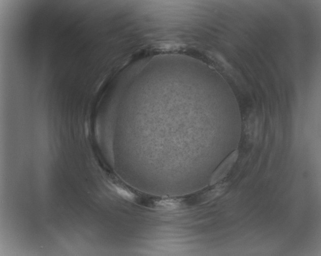 X0000071340516200606231141